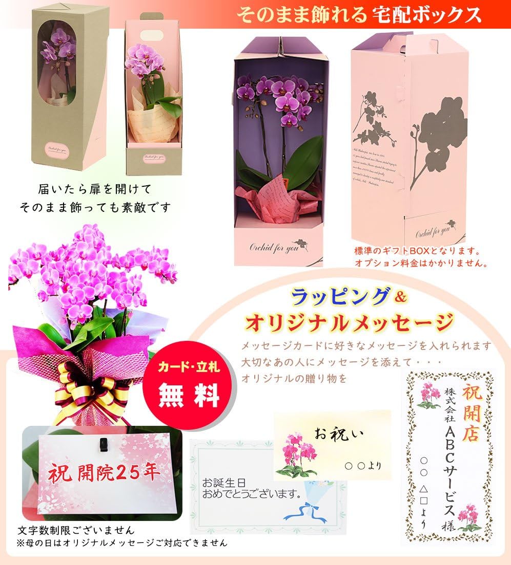 HKT48 渕上舞 ボイス入り 目覚まし時計 ボイスクロック 置き時計